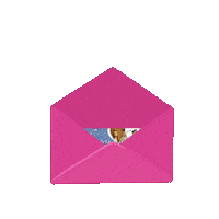 mapgiftvoucher mapgiftvoucher mapgv Sticker