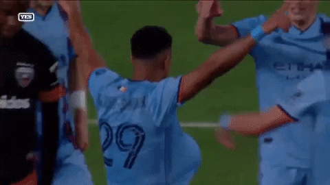 New York City Fc GIF by NYCFC