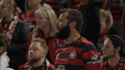 wswanderersfc reaction football celebration goal GIF