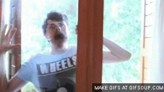 window faces GIF