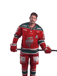 Sticker by MoDo Hockey