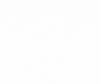 BigCorkVineyards wine winery cork big cork GIF