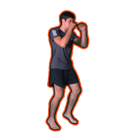 Primalcombat Sticker by Primal Performance Lab