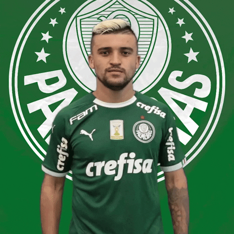 Palmeiras giphyupload soccer eye futebol GIF