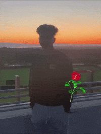 Raocow GIF