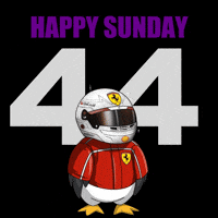 Happy Sunday GIF by Puffins
