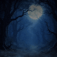 Trick Or Treat Halloween GIF by Avenue Stories