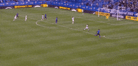 save andre blake GIF by Philadelphia Union