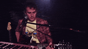 Live Band Concert GIF by Polyvinyl Records
