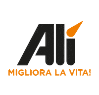 Shopping Ali Sticker by Alisupermarcati