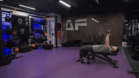 setforset giphyupload GIF