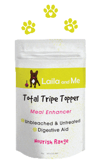 Lailaandme dog puppy dog food dog treats Sticker