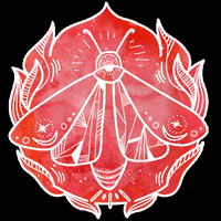 FireflyYogaCenter firefly fireflyyogacenter fireflyyoga fireflyyogaandmovementcenter GIF