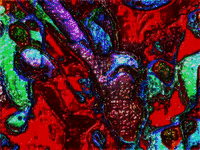 art glitch GIF by MFD