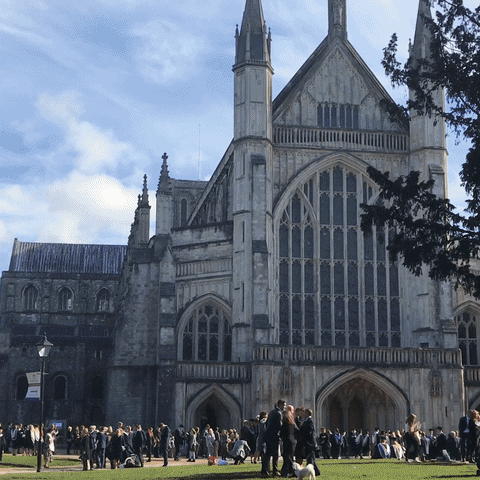 Grad2019 Graduation 2019 GIF by University of Winchester