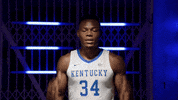 College Basketball Sport GIF by Kentucky Men’s Basketball. #BuiltDifferent