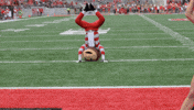College Football GIF by Ohio State Athletics