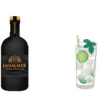 radicokhaitan party cheers chill drinking Sticker