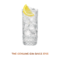 PlymouthGinGlobal drink alcohol gin tonic Sticker