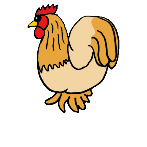 Chickens Sticker