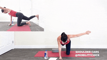 mobilitychick fitness baseball workout training GIF