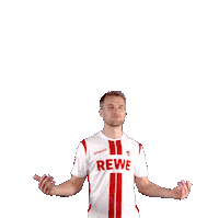 Celebrate 1 Fc Cologne Sticker by 1. FC Köln