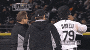 chicago whitesox GIF by MLB