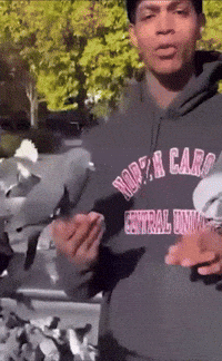 Bird Game 3 GIF