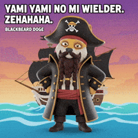 One Piece Pirate GIF by Doge Pound