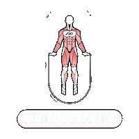 Ropetastic fitness gym training cardio Sticker