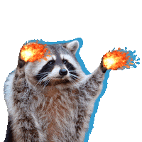 Raccoon Sticker by BAT Russia