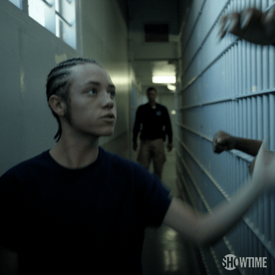 season 6 showtime GIF by Shameless