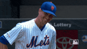 Ny Mets Reaction GIF by New York Mets
