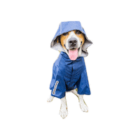 tstarch dog blue rain weather Sticker