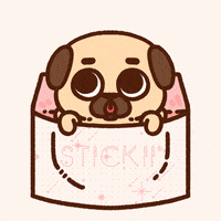 GIF by Puglie Pug