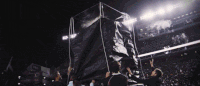 South Carolina Football GIF by gamecocksonline