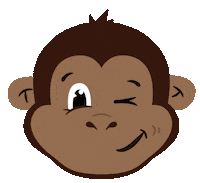 Wink Monkey Sticker by Griffith Sport