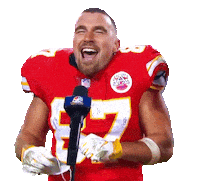 Freezing Regular Season Sticker by NFL