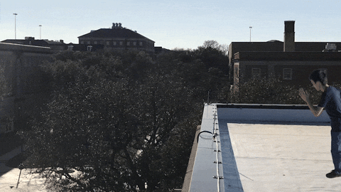 College Student Falling GIF by ODE Willie's Funky Bunch