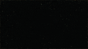 fire bran dougherty-johnson GIF by Yule Log 2.015