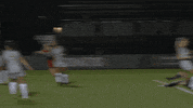 LouisvilleCardinals happy celebration excited celebrate GIF