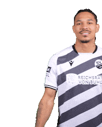 3Liga Wirechtanders Sticker by SV Sandhausen