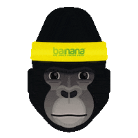 sunglasses gorilla Sticker by Barnana