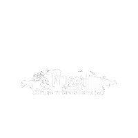 Sticker by TKA guindaste
