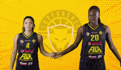 GIF by lupebasket