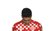 Look Up Mainz 05 Sticker by Bundesliga