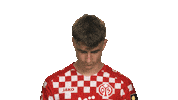 Look Up Mainz 05 Sticker by Bundesliga