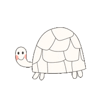 suedsicht_medien animal turtle tier schildkrote Sticker