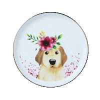 Playwithcasa Sticker by CASA Indonesia