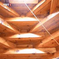 Sun House GIF by TRT